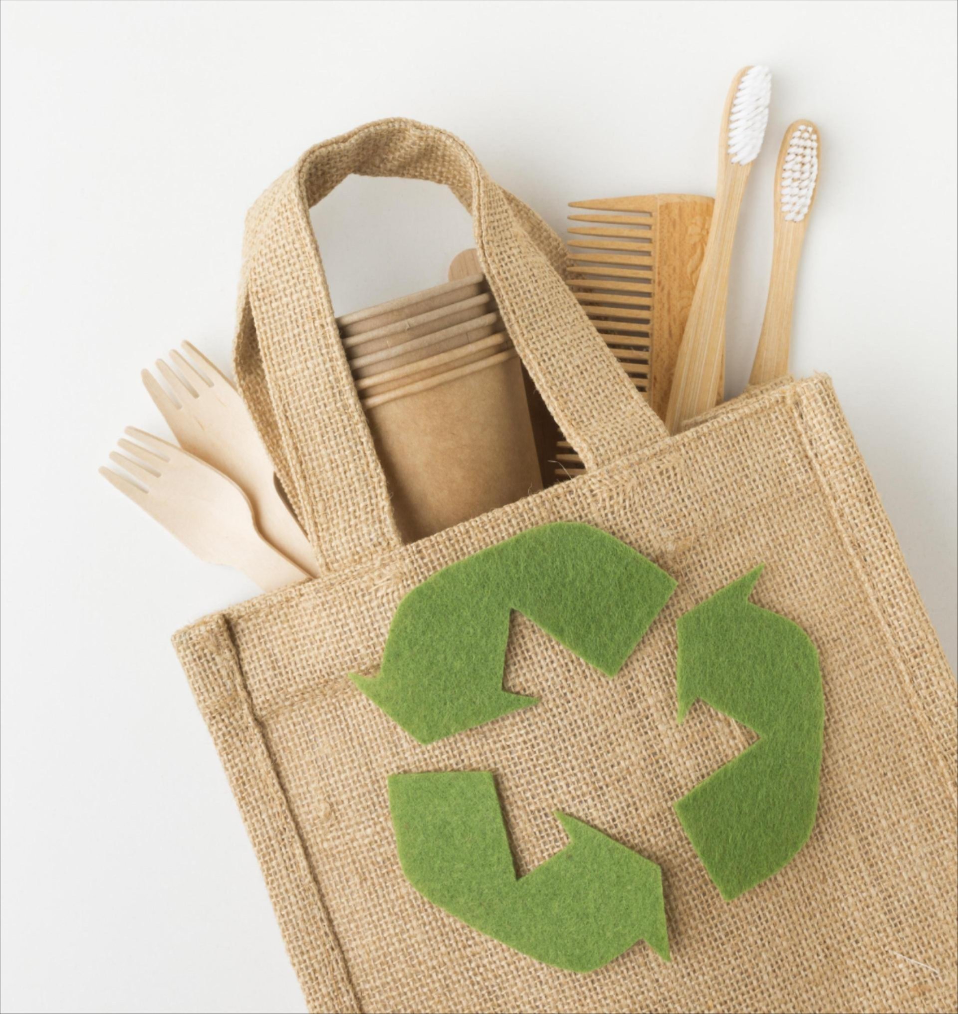 Lady Charging Electric Car